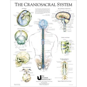 Cranio Sacral System Therapy in Grand Rapids MI